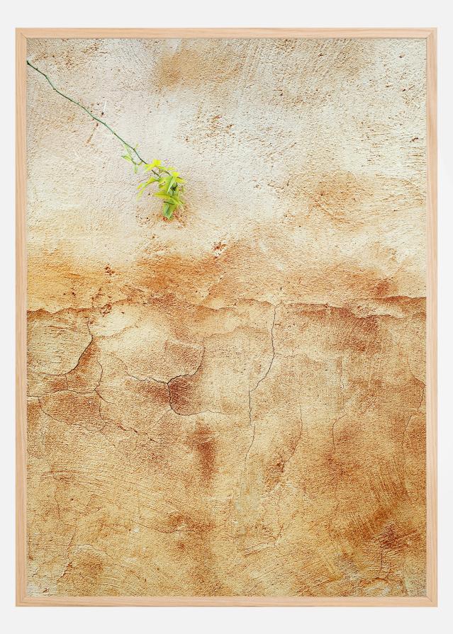 Cracked wall Póster