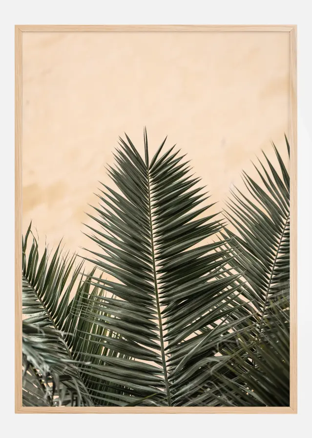 Palm leaves and wall Póster