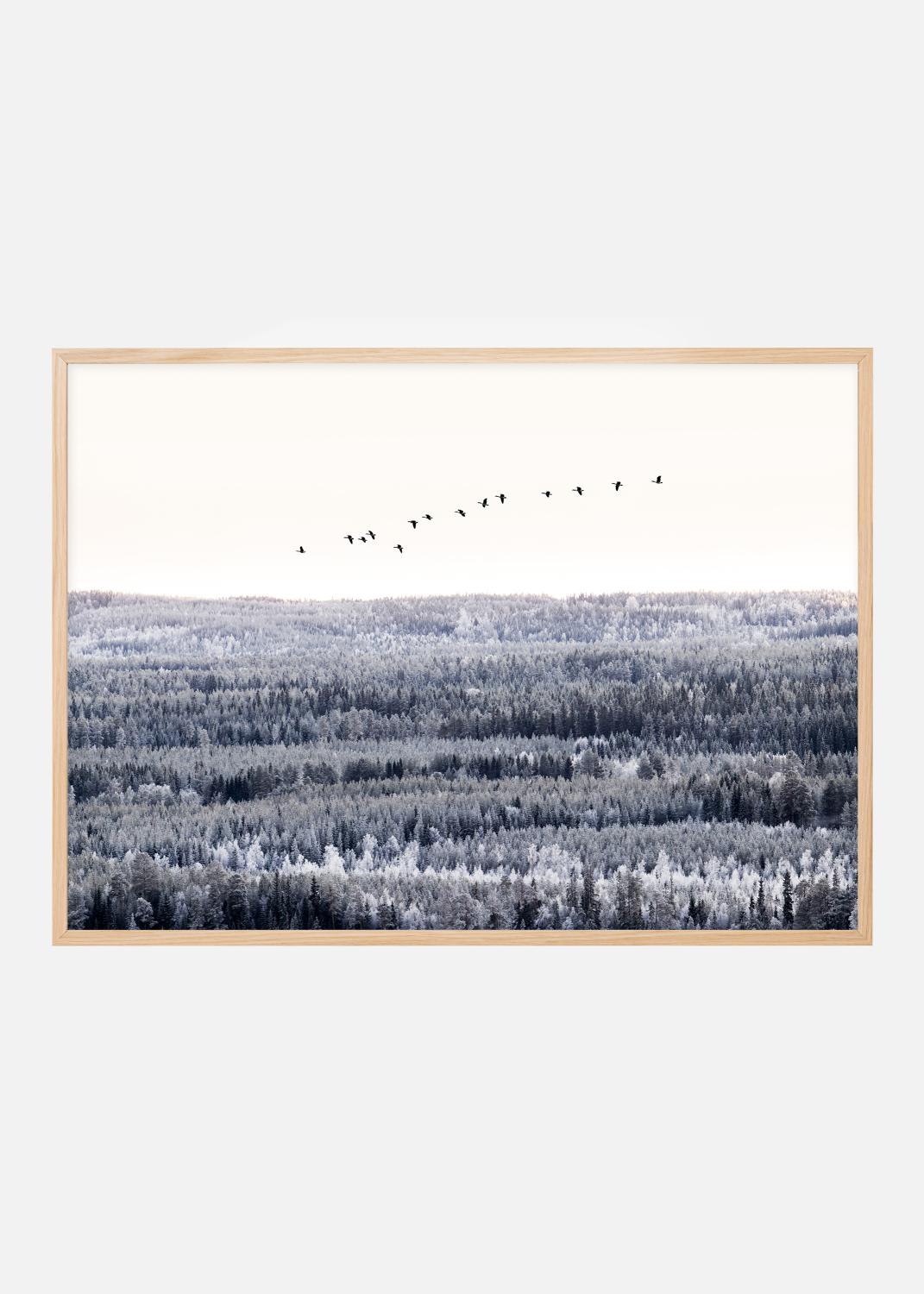 Product Image for Follow me into the world Póster (50x70 cm)