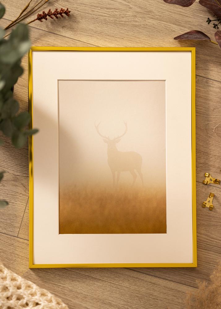 Moldura em alumínio Vidro acrílico Dourado 60x80 cm