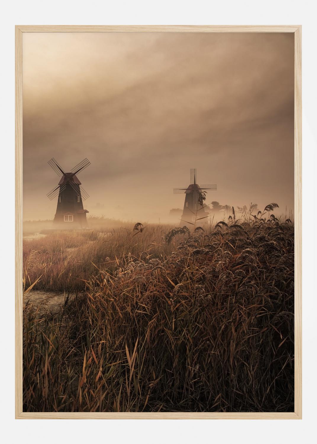Product Image for A Fascinating Morning Póster (21x29.7 cm (A4))
