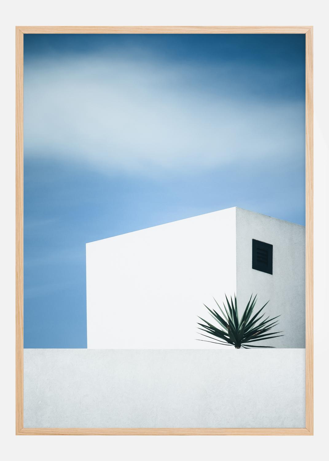 Product Image for Palm tree Póster (21x29.7 cm (A4))