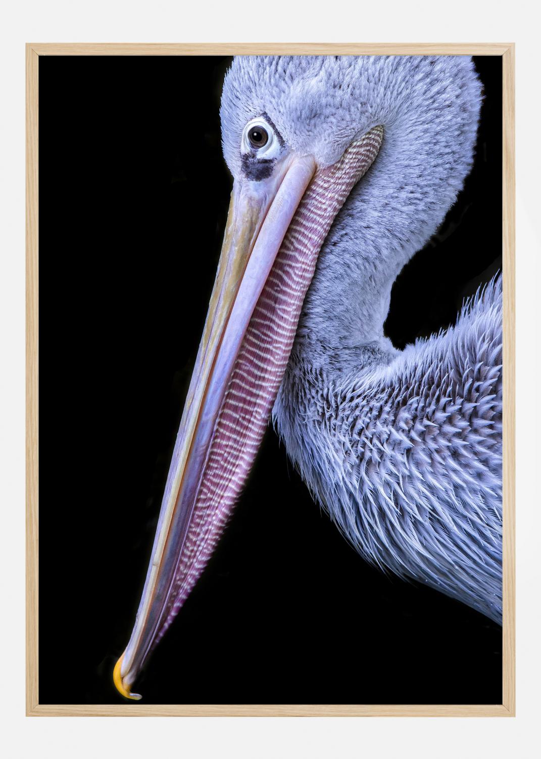 Product Image for Pelican at night Póster (30x40 cm)