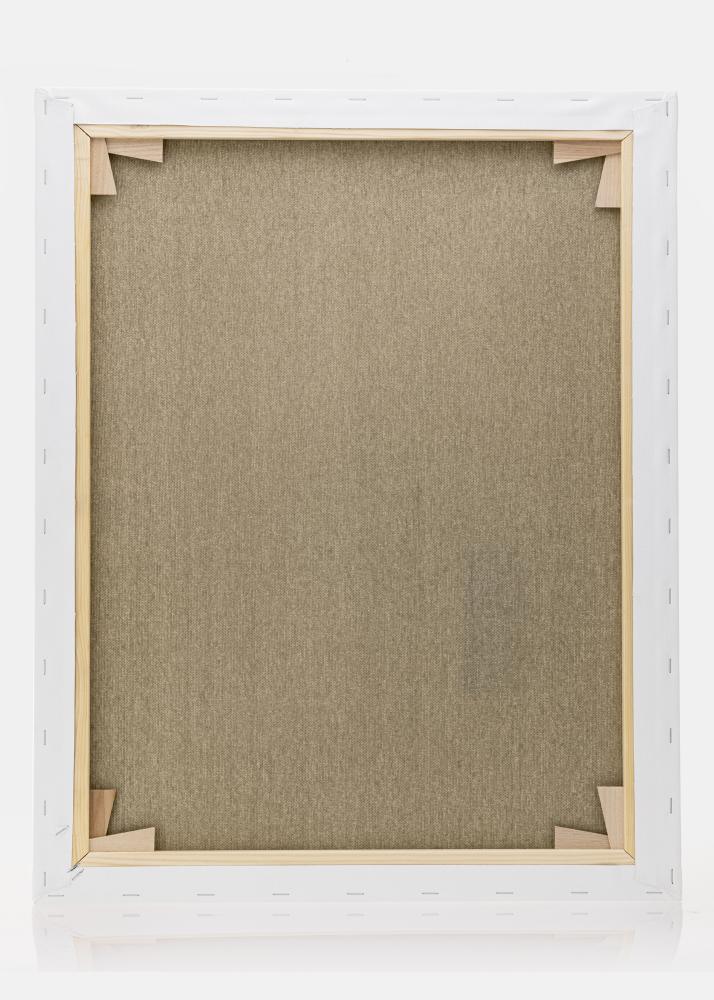 Tela de pintura Premium Branco 40x50 cm