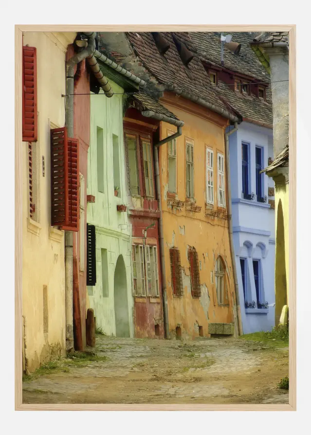 Colors Póster