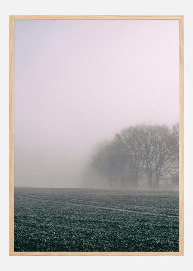 Fogy Morning Póster