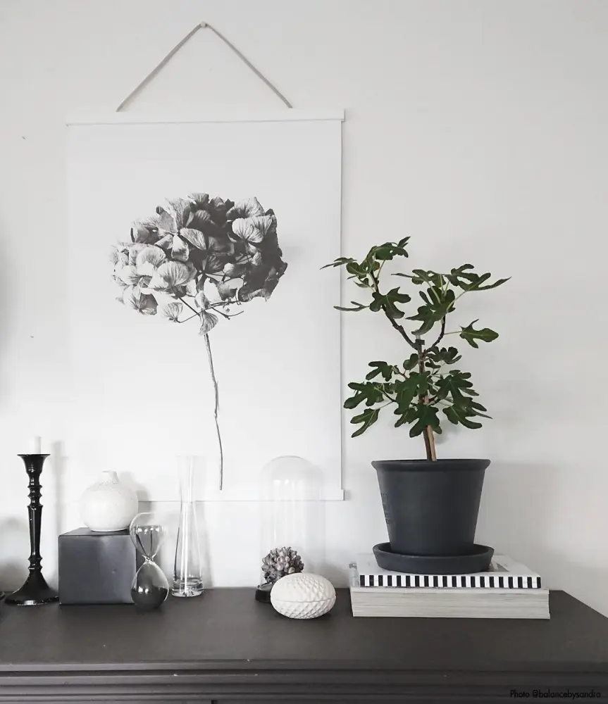 Suportes para pósteres Branco - 40 cm