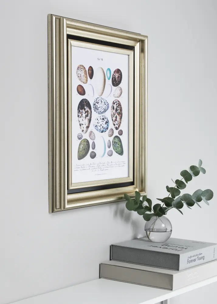 Moldura Gysinge Premium Prateado 61x91,5 cm