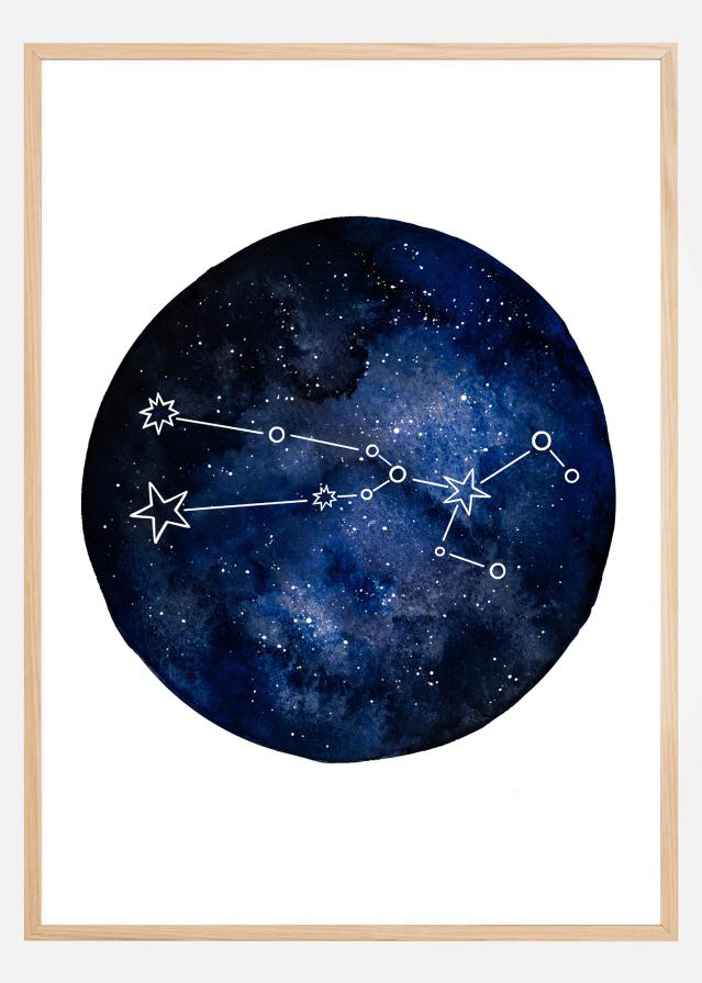 Taurus Póster