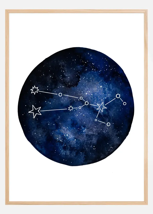 Taurus Póster