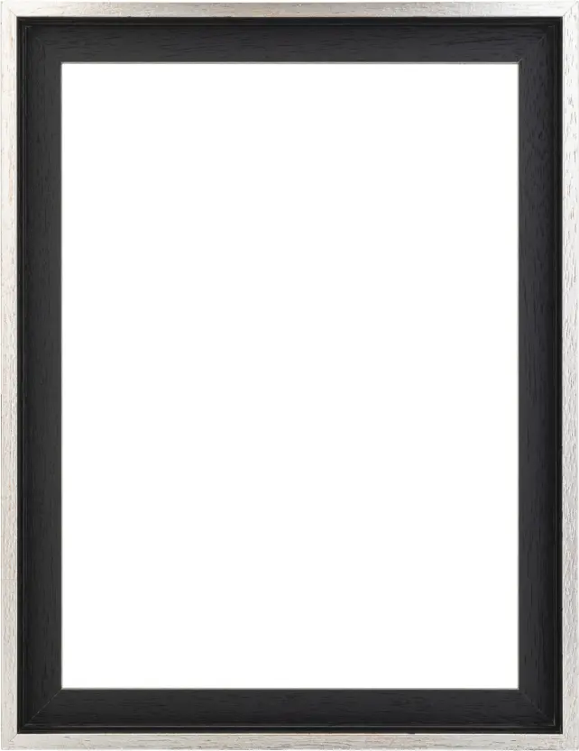 Moldura para telas Lexington Preto / Prateado 30x40 cm