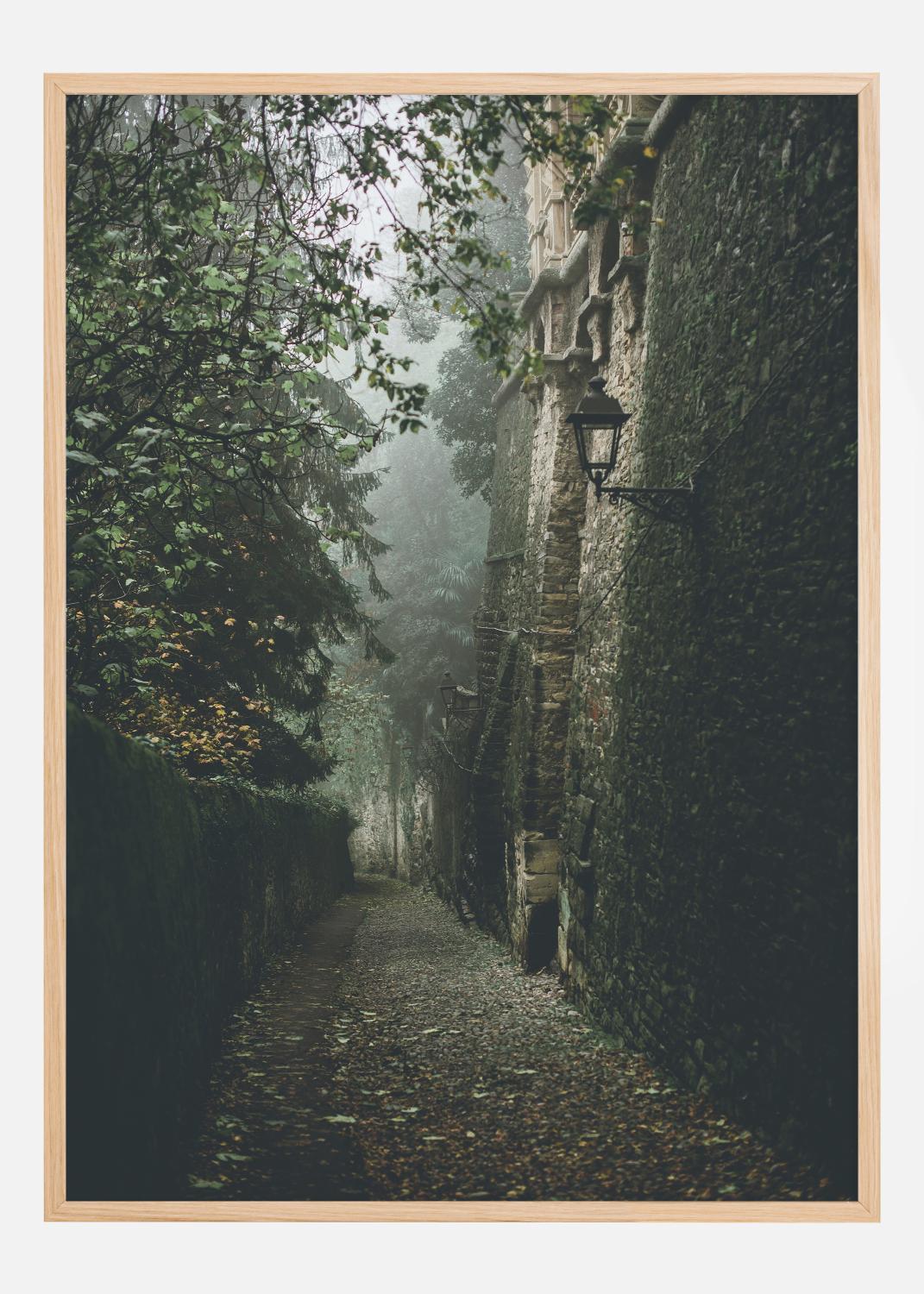 Product Image for Fogy Street Póster (21x29.7 cm (A4))