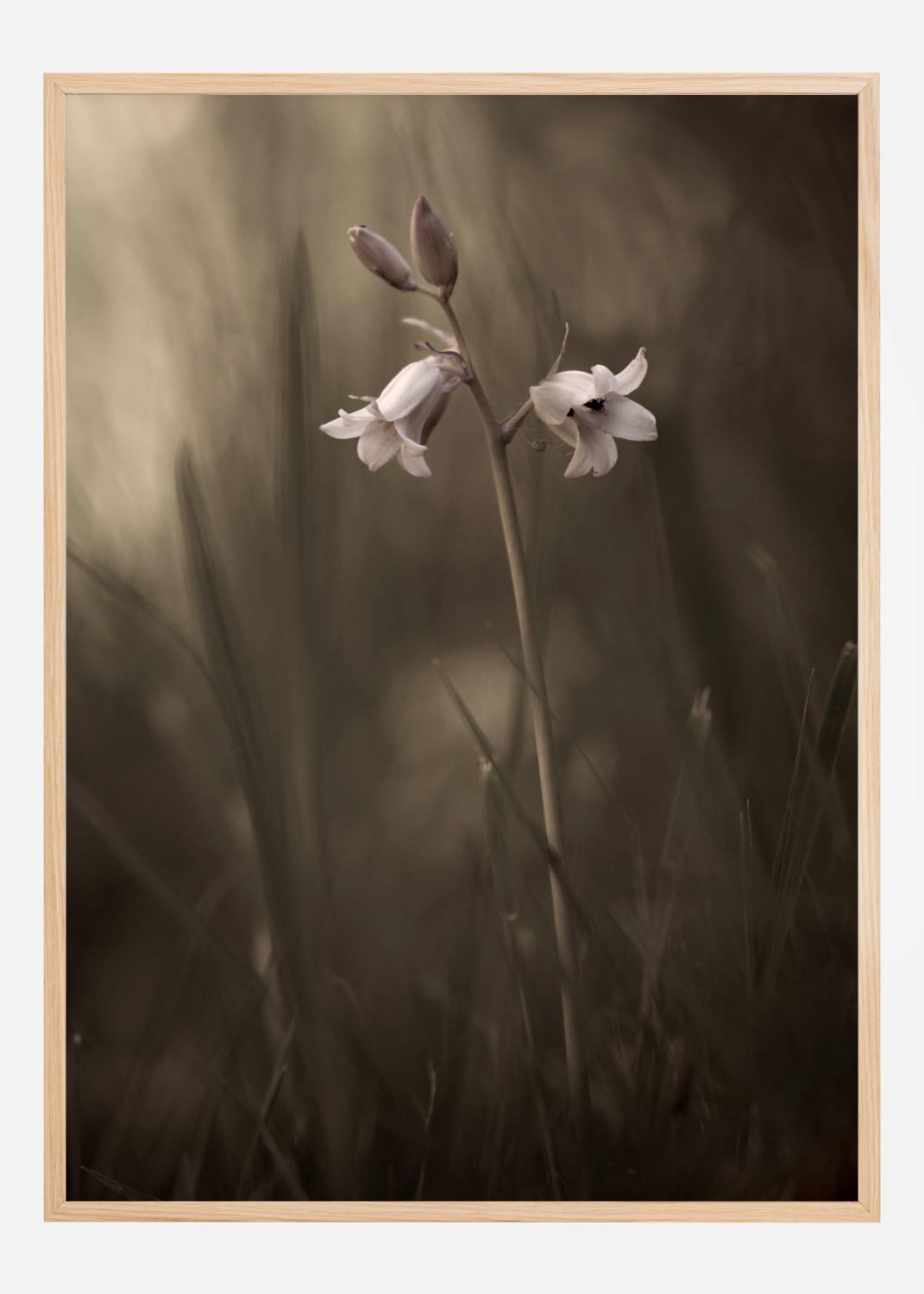 Product Image for A Small Flower On The Ground Póster (21x29.7 cm (A4))
