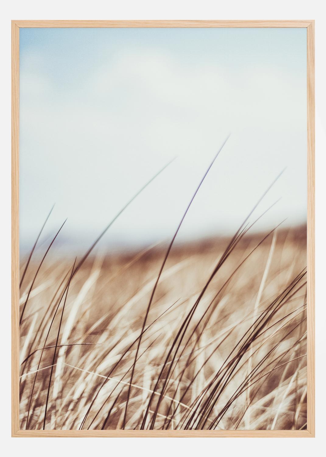 Product Image for Dreamy Grass Póster (21x29.7 cm (A4))
