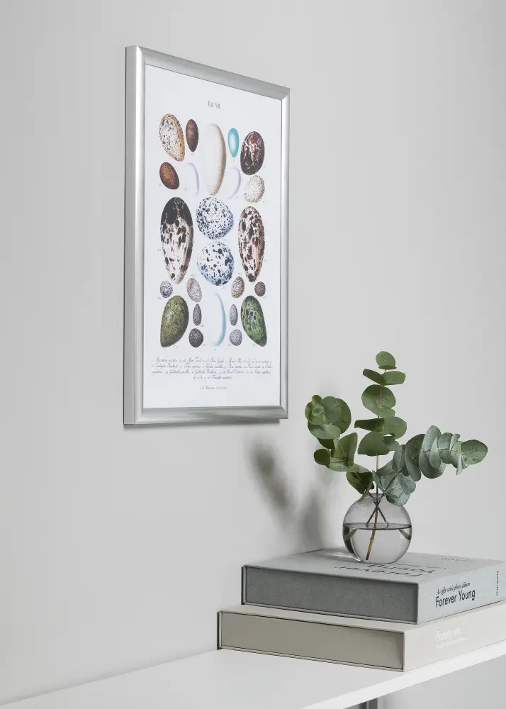 Moldura Trendstyle Prateado 50x60 cm