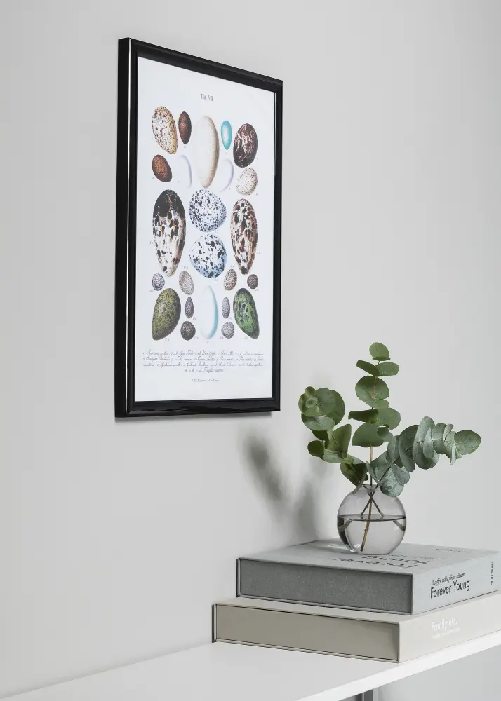 Moldura Trendstyle Preto 40x50 cm