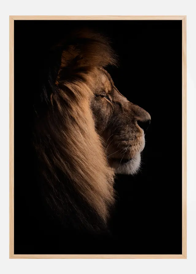 Sleeping King Póster