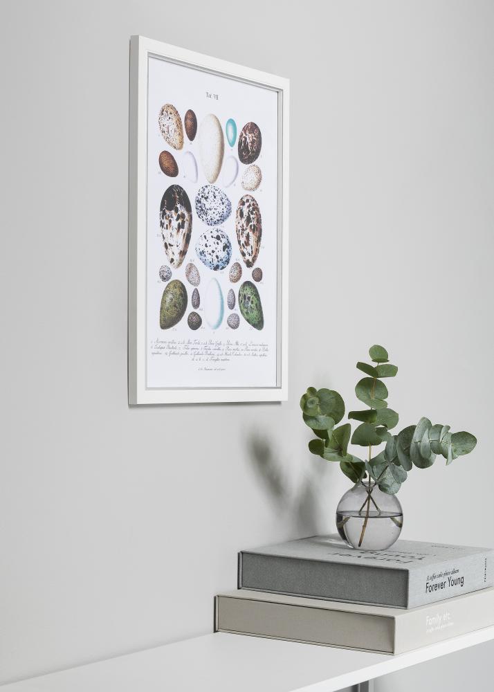 Moldura Twist Branco 10x15 cm