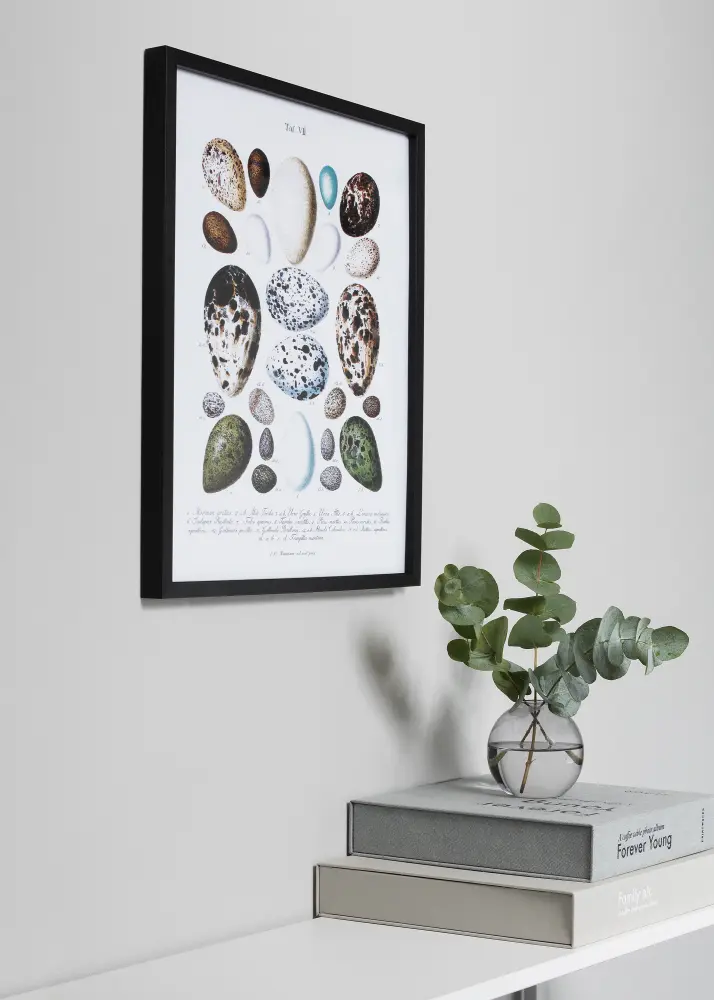 Moldura Vivaldi Preto 50x70 cm