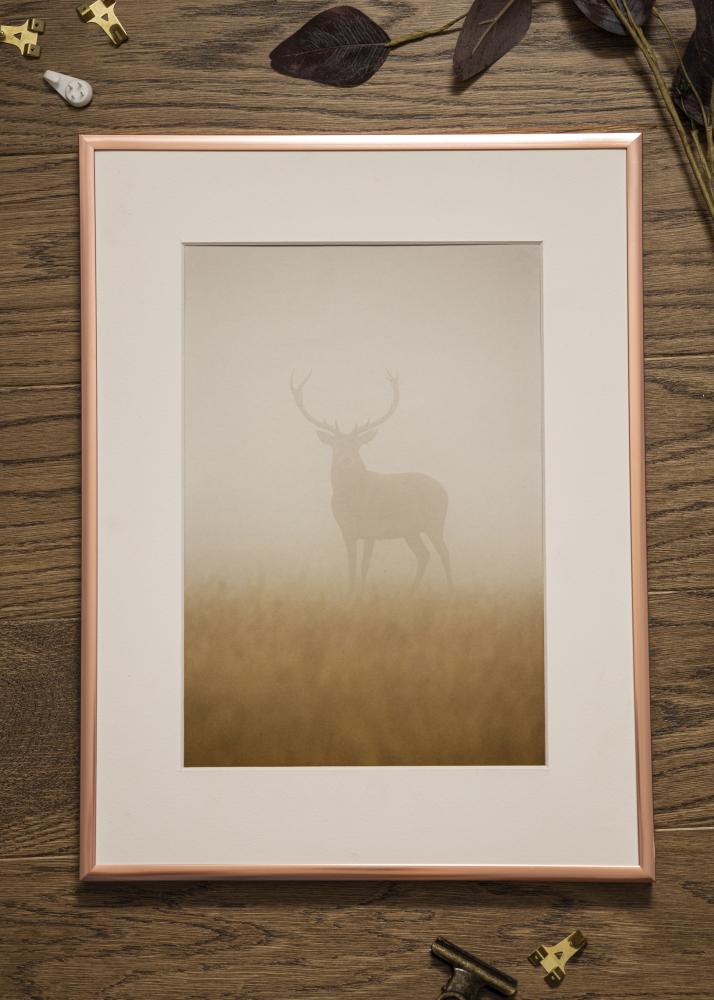 Moldura Póster Frame Aluminum Vidro acrílico Ouro rosado 70x100 cm
