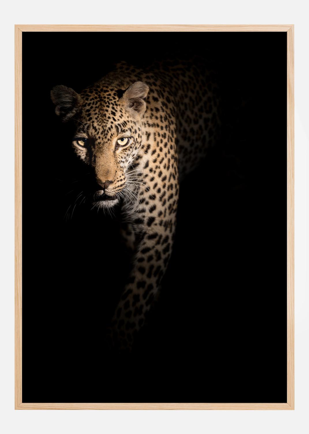 Product Image for Out of the darkness Póster (30x40 cm)