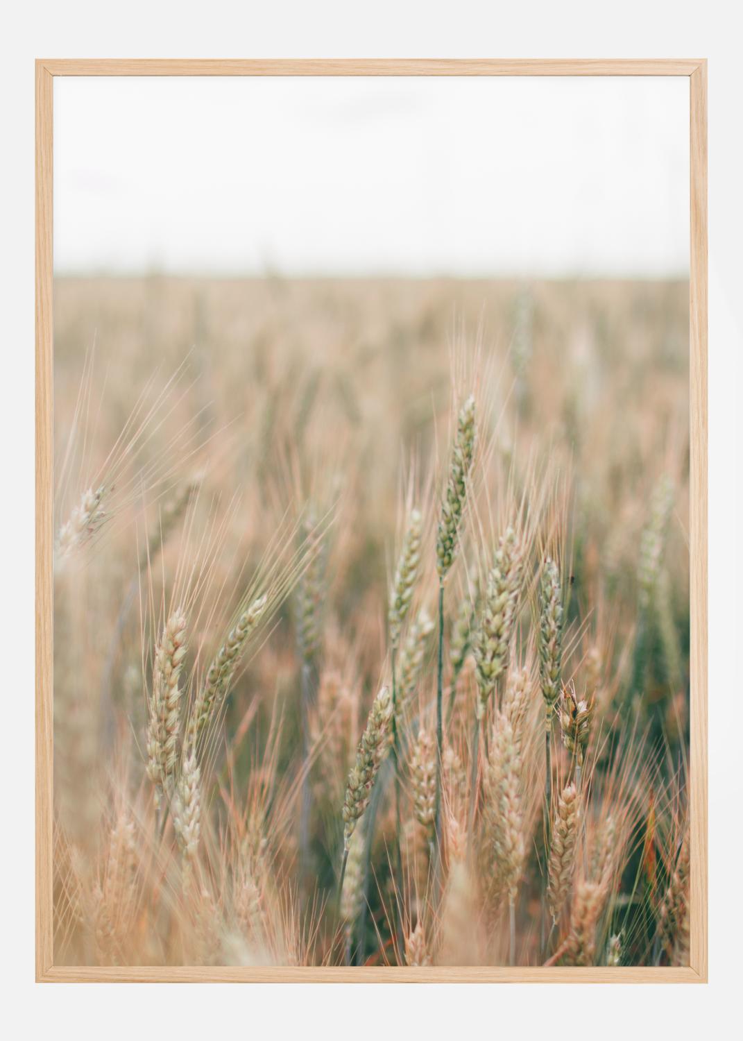 Product Image for Summer Fields Póster (30x40 cm)