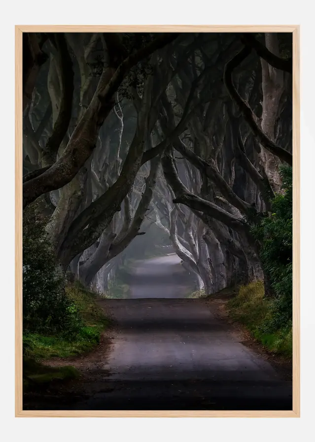 The Dfolha Hedges Magic road Póster