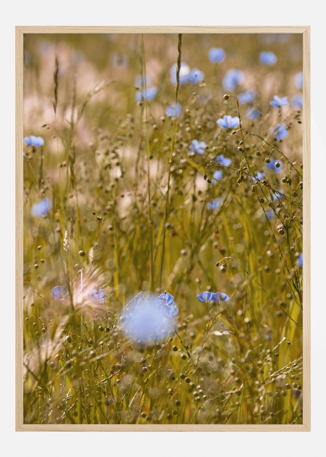 Product Image for Summer Fields I Póster (30x40 cm)