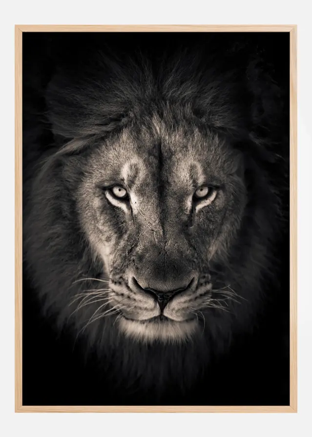 The king Póster
