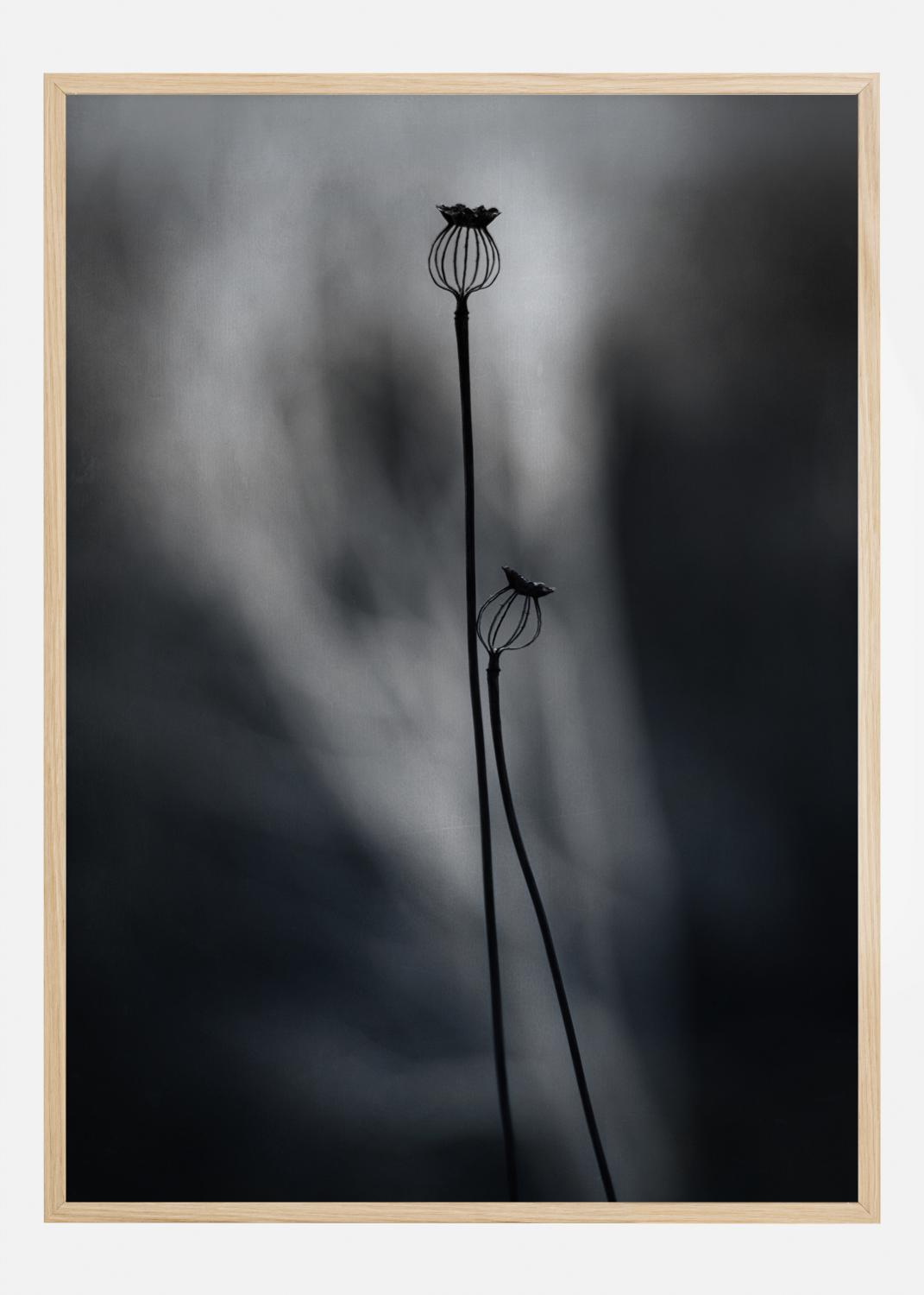 Product Image for From Last Year Póster (21x29.7 cm (A4))