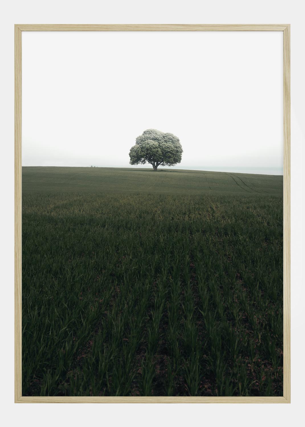 Product Image for The lonely oak tree Póster (21x29.7 cm (A4))