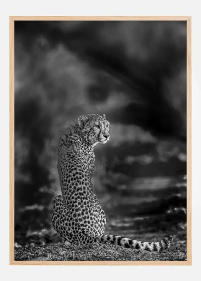 The look back Póster