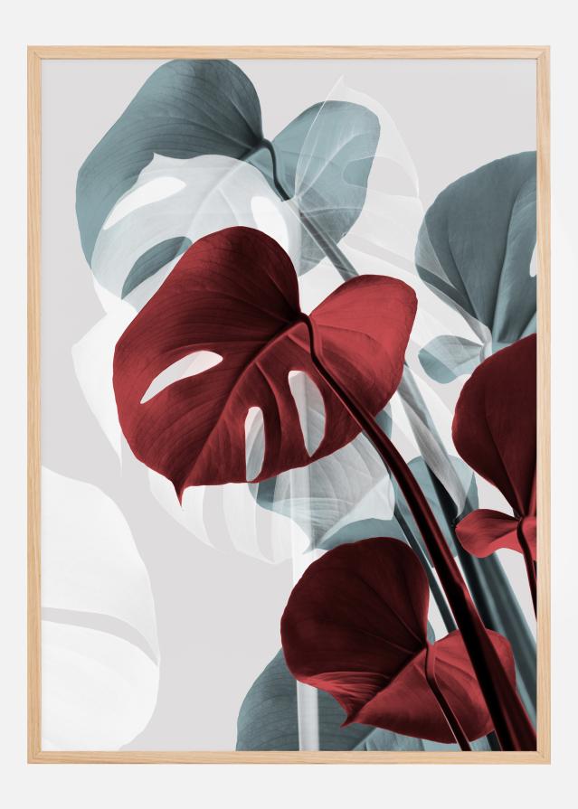 Monstera Creative II Póster