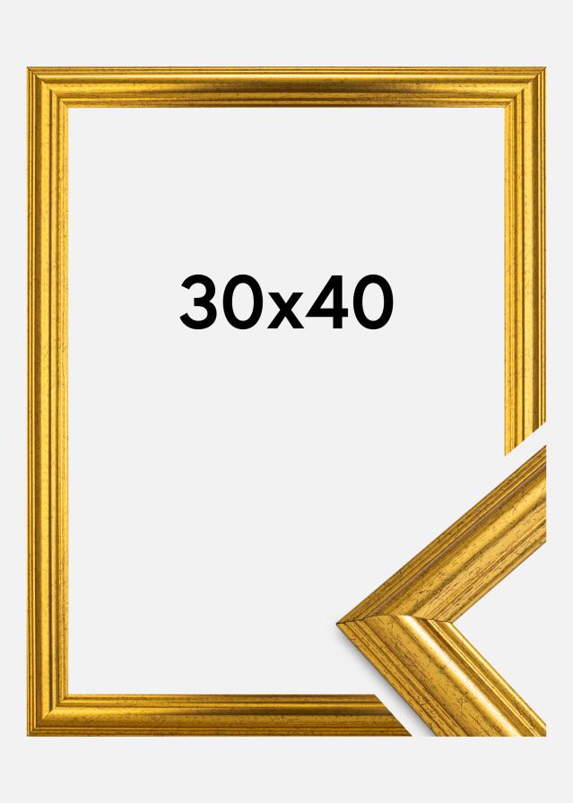 Moldura Västkusten Dourado 30x40 cm