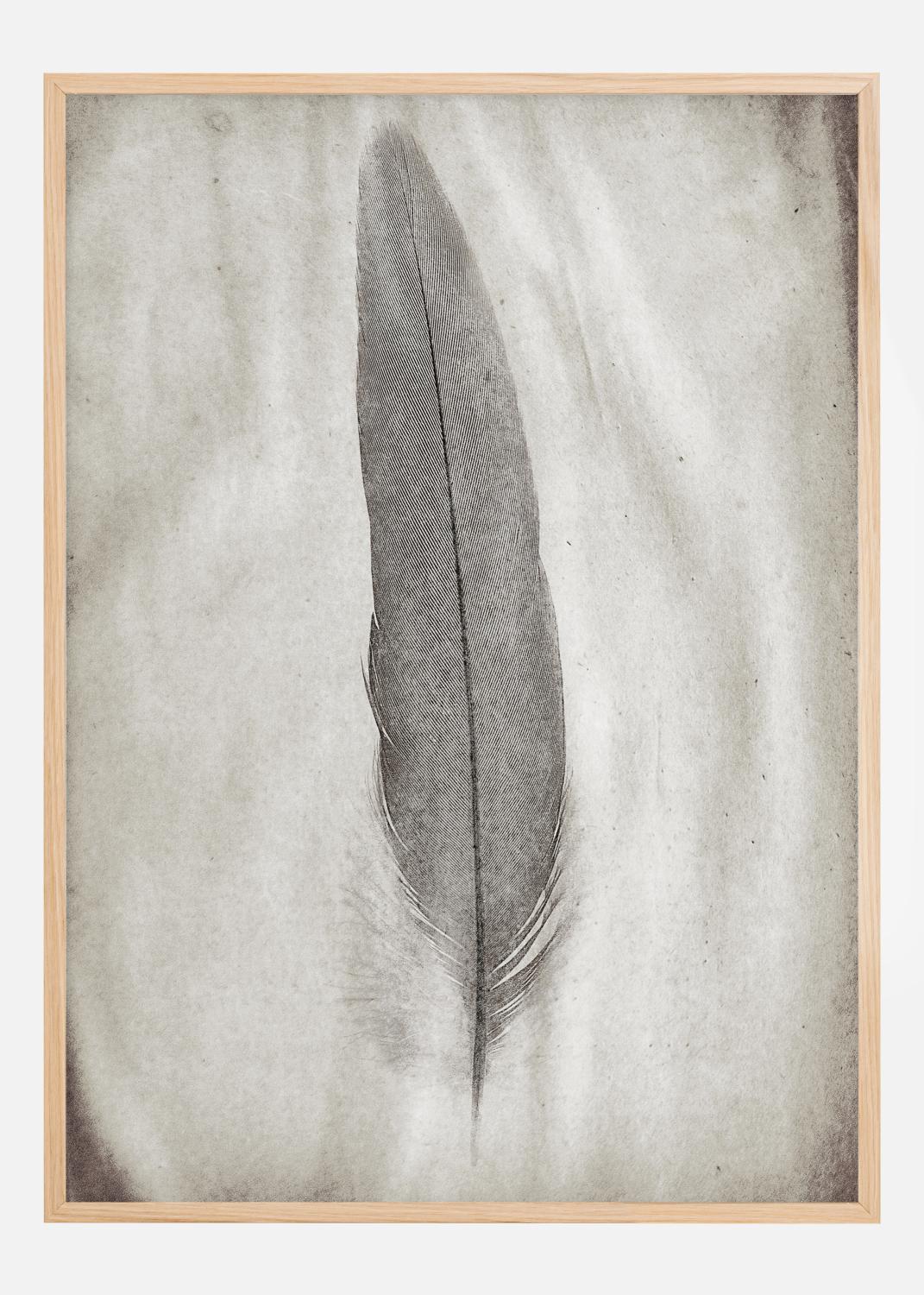 Product Image for Aquarelle Feather Póster (21x29.7 cm (A4))