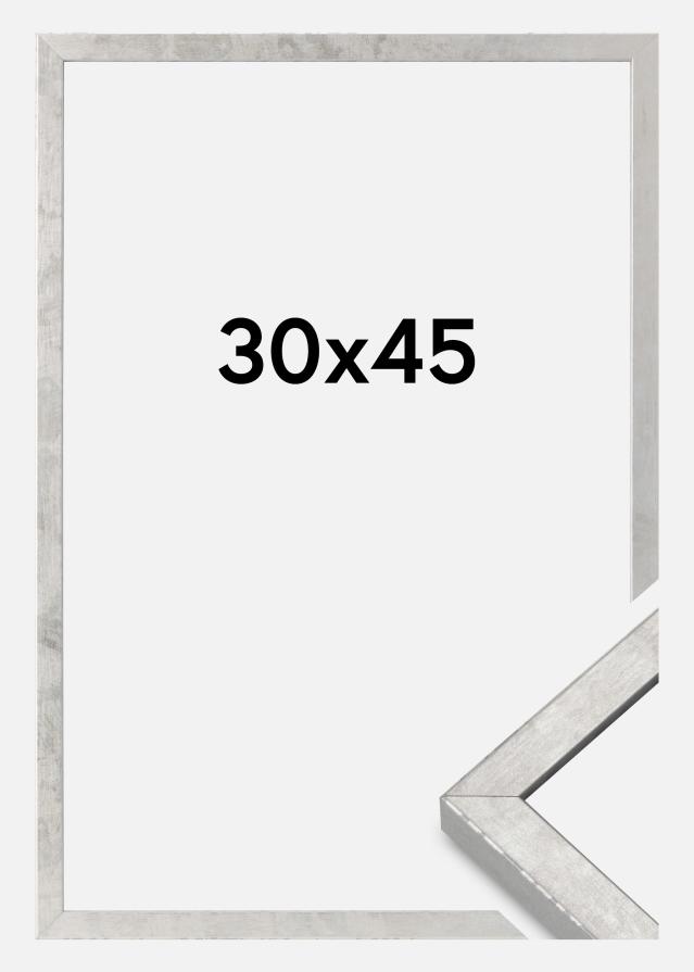 Moldura Ares Vidro acrílico Prateado 30x45 cm