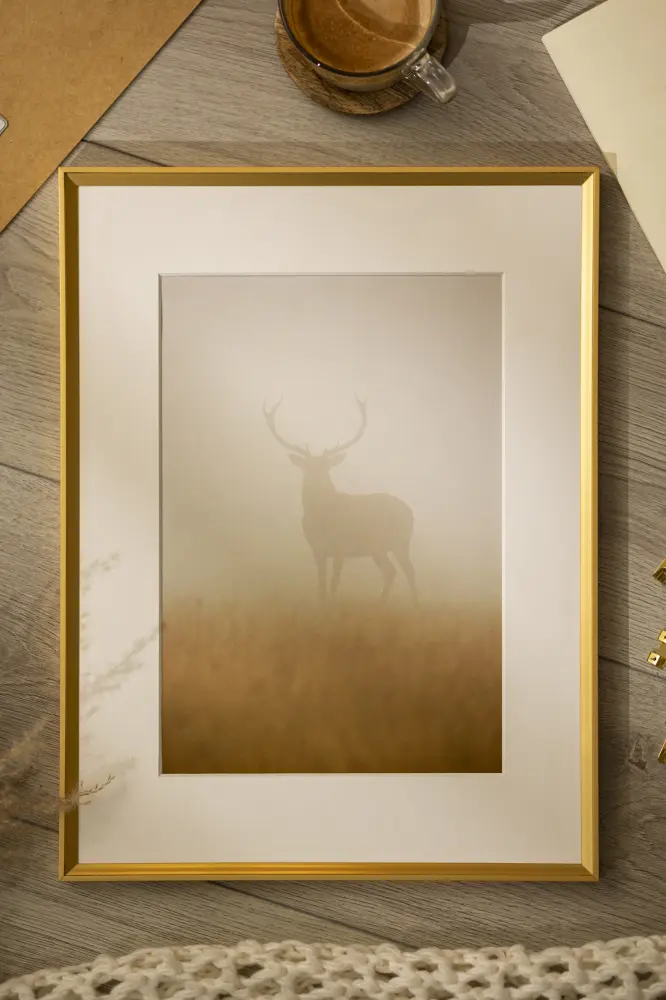 Moldura Desire Dourado 40x50 cm - Passe-partout Branco 28x35 cm