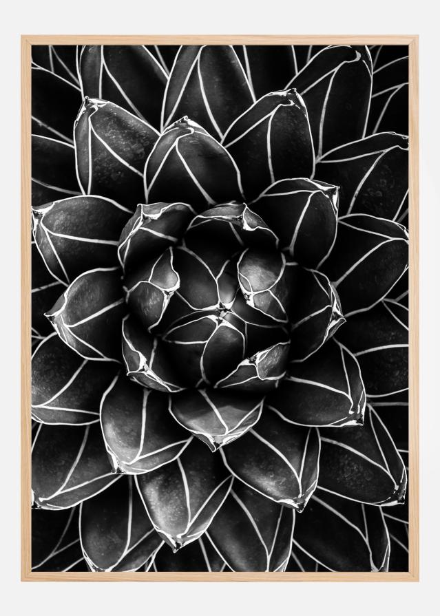 Natural math Póster