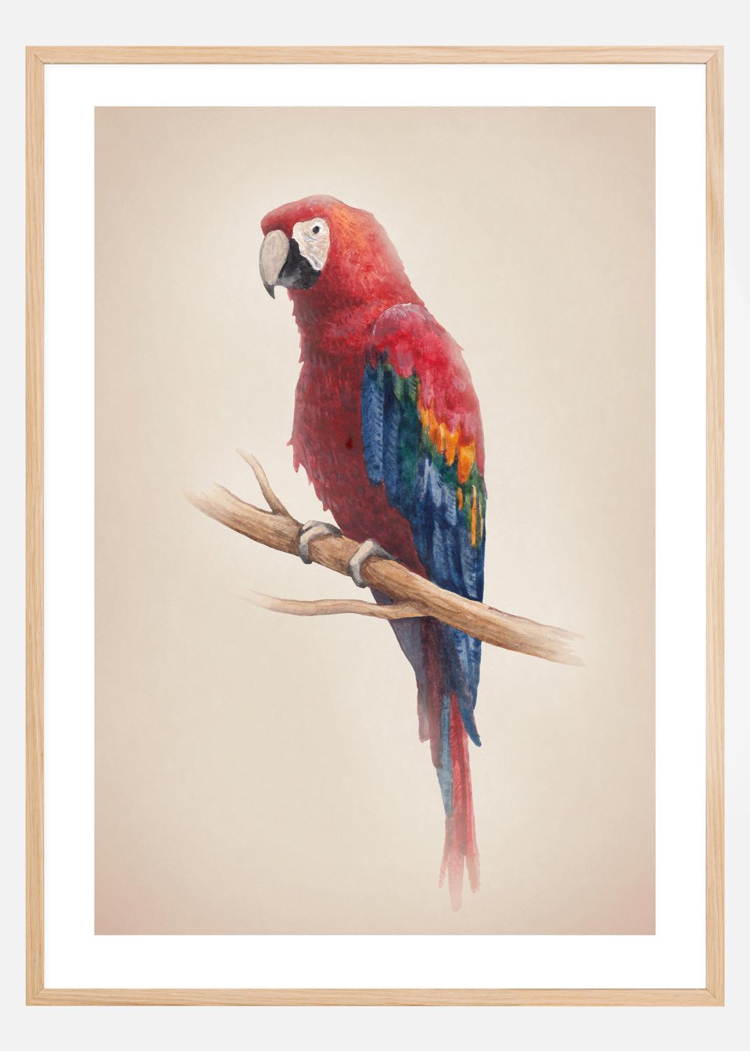 Product Image for Tropical Parrot Póster (30x40 cm)