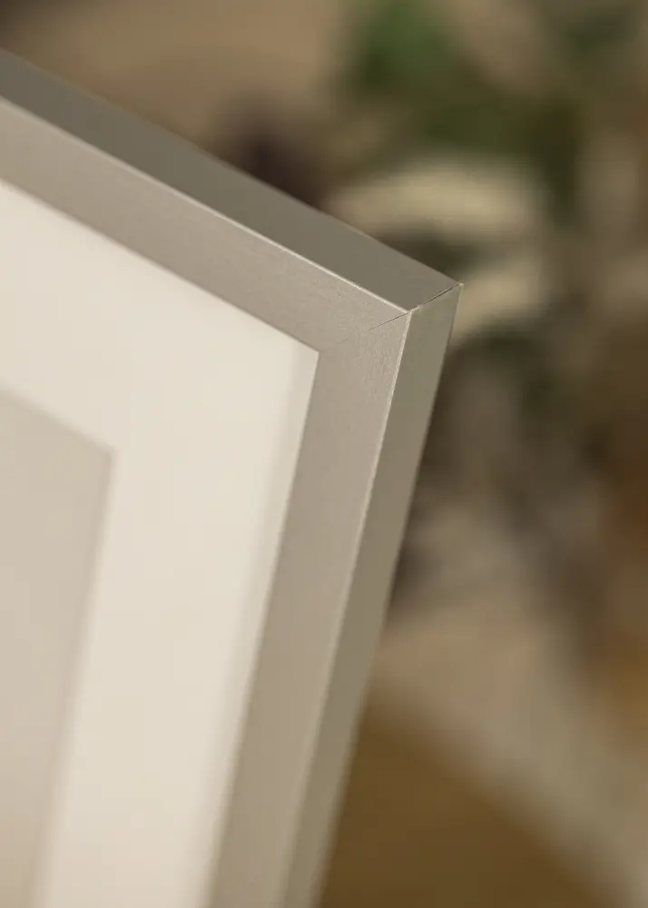 Moldura Selection Prateado 30x40 cm - Passe-partout Branco 21x29,7 cm (A4)