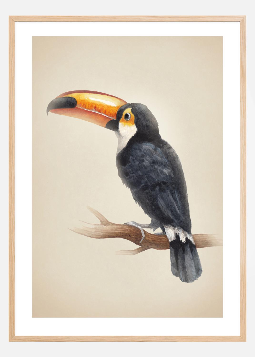 Product Image for Tropical Toucan Póster (21x29.7 cm (A4))