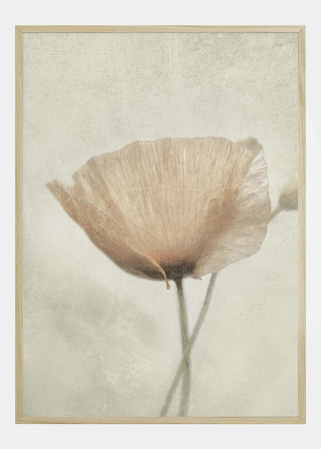 Product Image for Jewel Of Natural Póster (21x29.7 cm (A4))