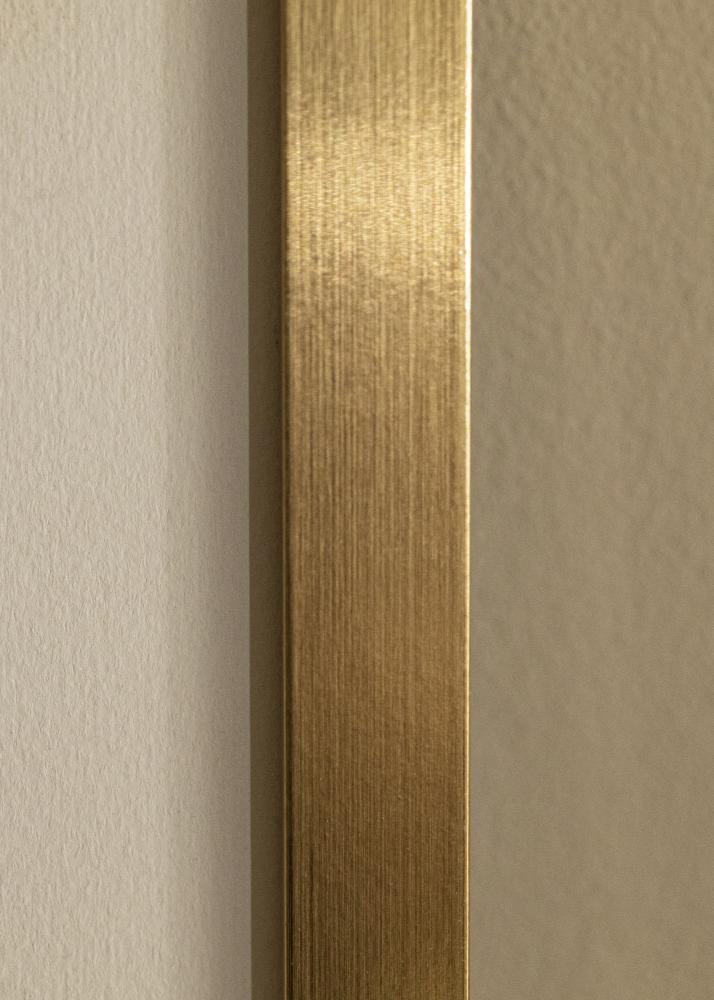Moldura Selection Dourado 70x90 cm - Passe-partout Branco 24x30 inches