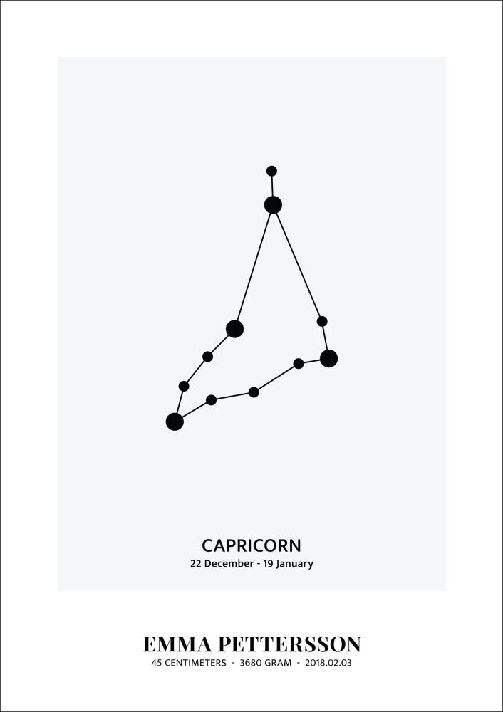 Capricorn - Signo do Zodíaco