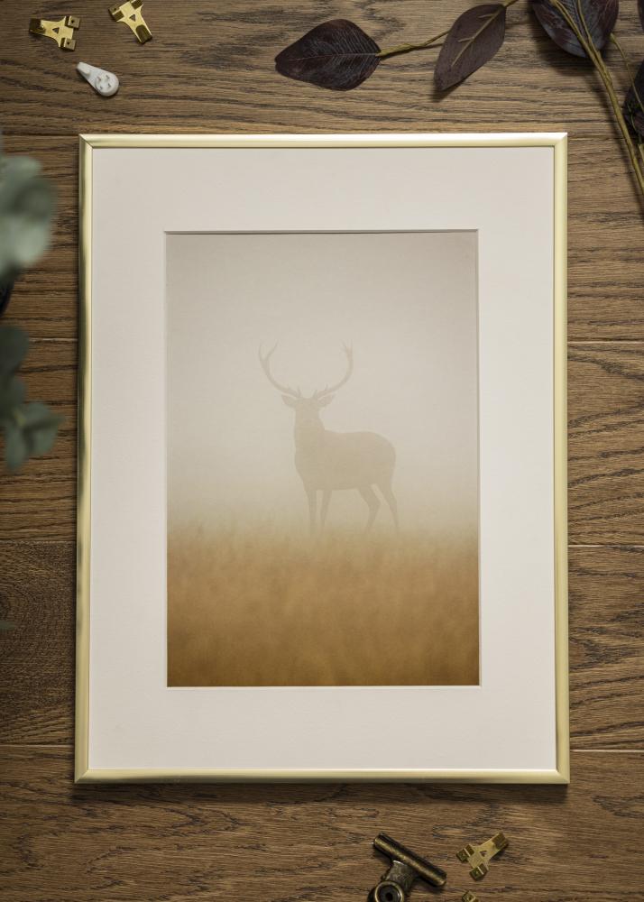 Moldura Póster Frame Aluminum Gold 60x80 cm - Passe-partout Branco 50x65 cm