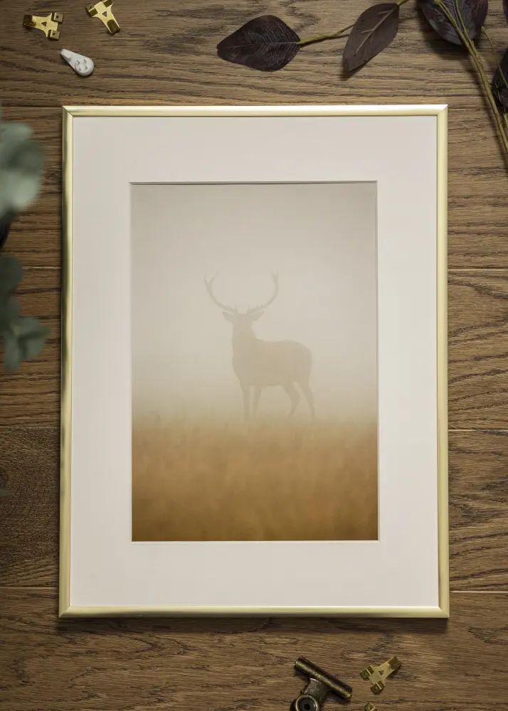 Moldura Póster Frame Aluminum Gold 60x80 cm - Passe-partout Branco 50x70 cm
