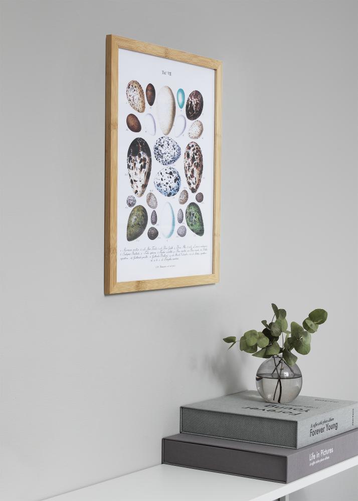 Moldura Hoei Bambu Vidro acrílico 70x100 cm