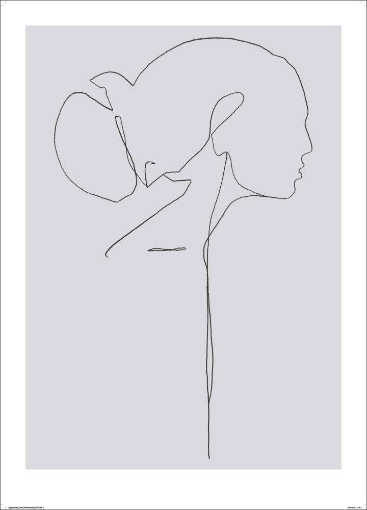 Female lines II Póster