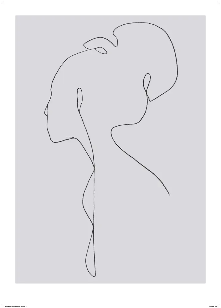 Female lines III Póster