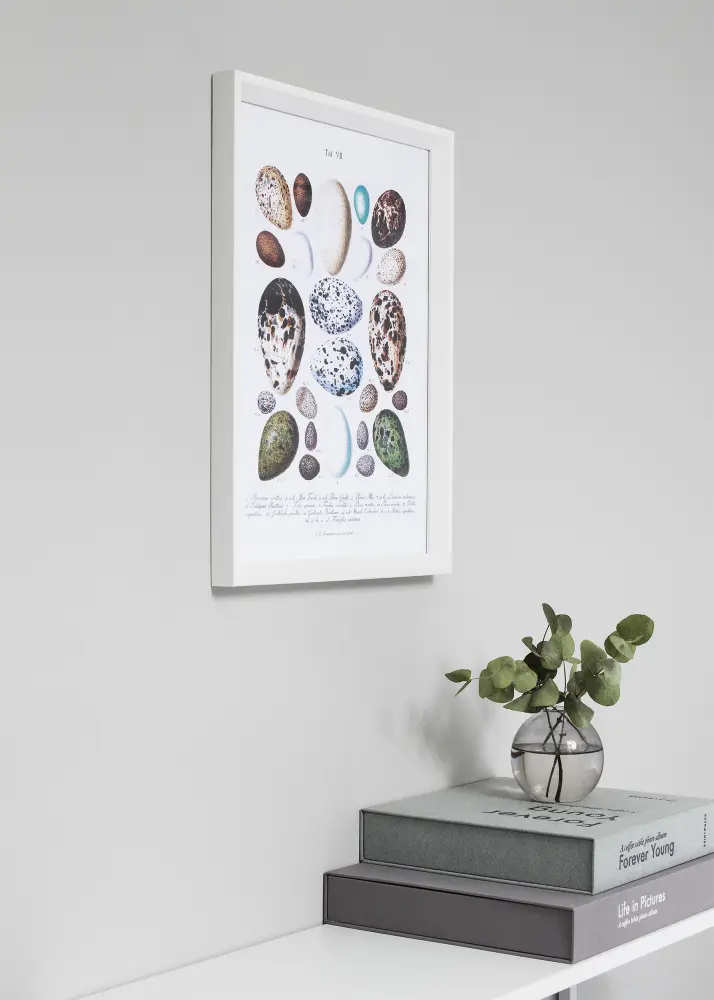 Moldura Globe Branco 40x50 cm - Passe-partout Preto 28x35 cm